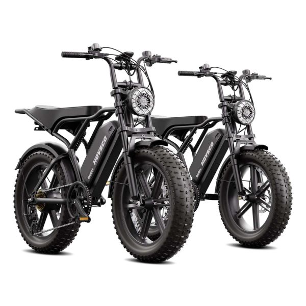 Factory OEM 48V 250W Electric Bike 20 Inch 15Ah Eu Stock E Bike Vintage Off-Road E-bike