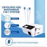 China Shockwave 2 In 1 Pain Relief Cryolipolysis Slimming Machine for sale