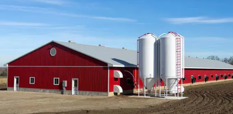 Hot-dip Galvanized Steel Poultry House with 30 Years Warranty and Customizable Dimensions