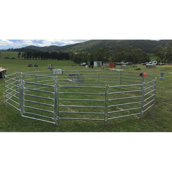 9.0m Diameter Horse Round Yard Panel 13Pcs incl. 3m tall Gate 2.1m height