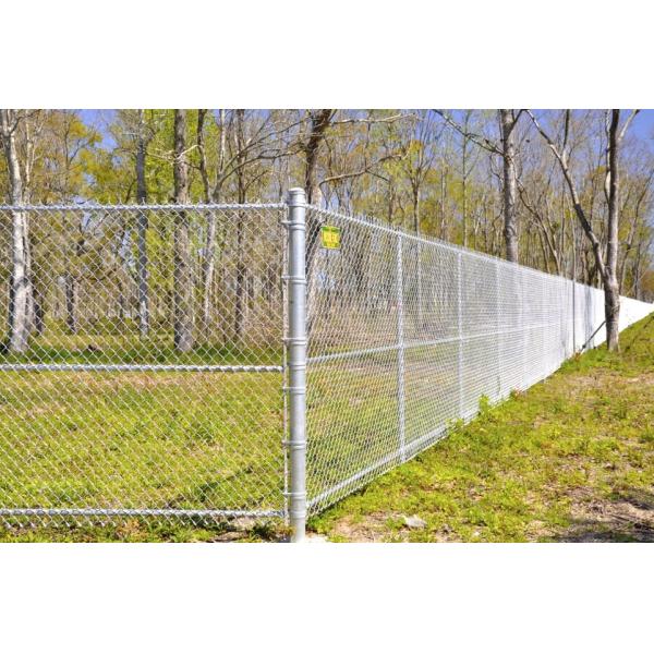 Hot Dipped Galvanized Black Chain Link Fence Cost 1.53m*10m*65mm*65mm*2.5mm