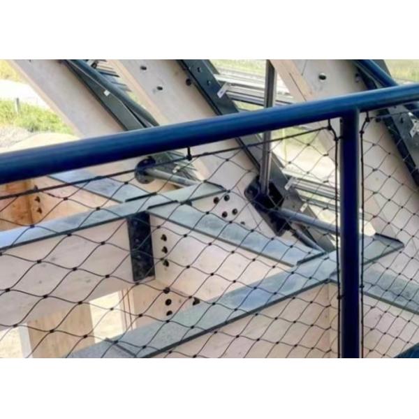 SS316 1.5mm Wire Diameter Aviary Rope Netting for Zoo Protection Mesh Fence with Corrosion Resistance