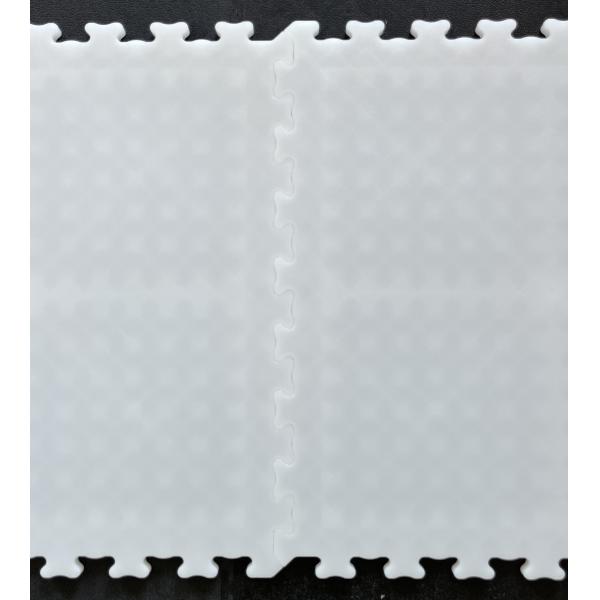 High Shock Absorption Sport Floor Tiles Outdoor Court Tiles For Skating