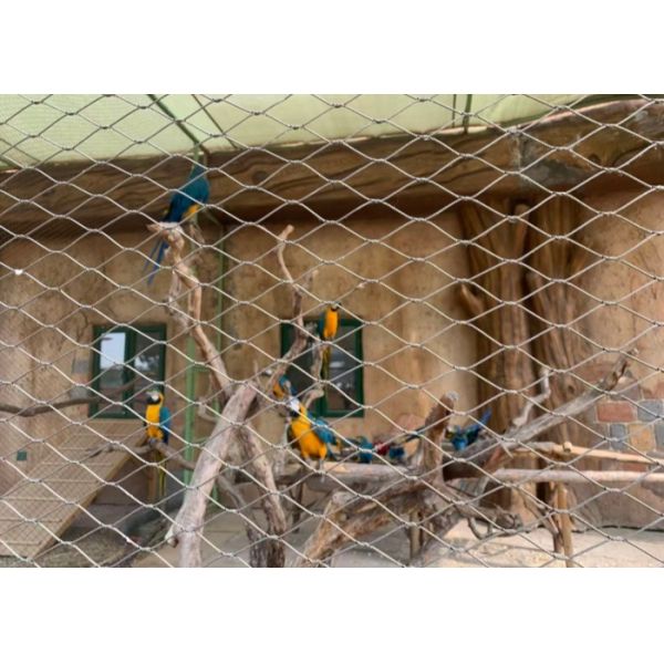 SS316 30mm*30mm Wire Rope Mesh Manufacturer For Avairy Zoo Mesh