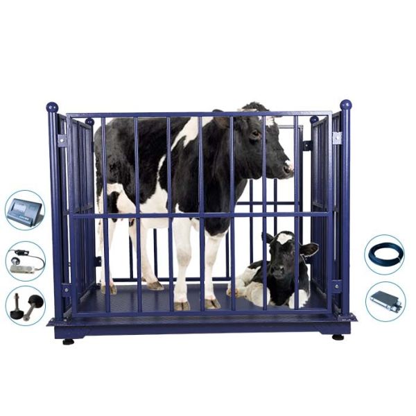 Vet LED KELI Electronic Cattle Weighing Scales Bluetooth