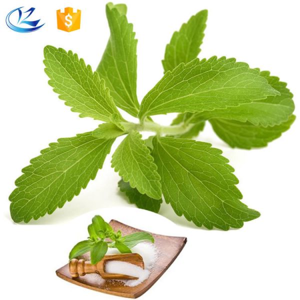 Natural Food Sweetener Organic Stevia Powder Drops For Beverages Dairy