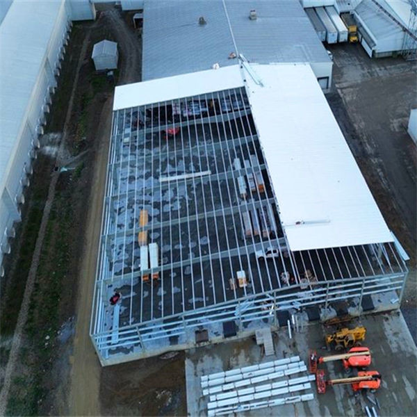 Q355/ Q235 Steel Structure Workshop With C Section / Z Section Steel Purlin