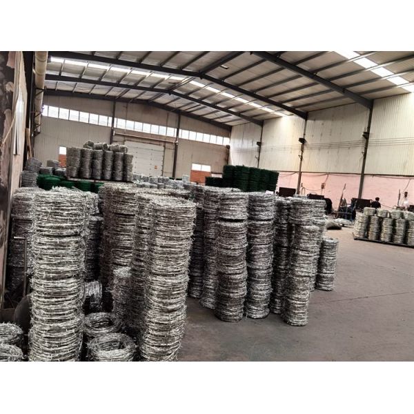 Low Carbon Steel  12 Gauge Barbed Wire Security Fence / Coiled Barbed Wire
