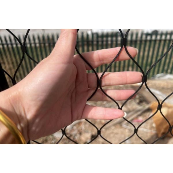Green Aviary Wire Mesh 30*30mm Stainless Steel Aviary Mesh 2.0mm Wire Diameter