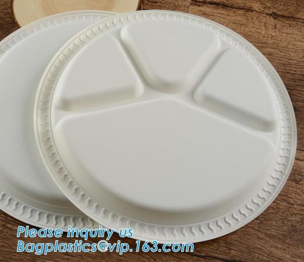 Eco Friendly Biodegradable Sugarcane Bagasse Plates Disposable,Sugarcane Bagasse Pulp Disposable Biodegradable Plate For
