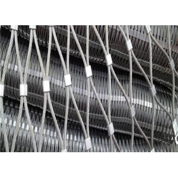 Anti Aging Aviary Mesh Effectively Reduces Maintenance Pressure For Ecological Parks
