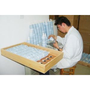 WUHU DAYI SPORTS GOODS CO., LTD