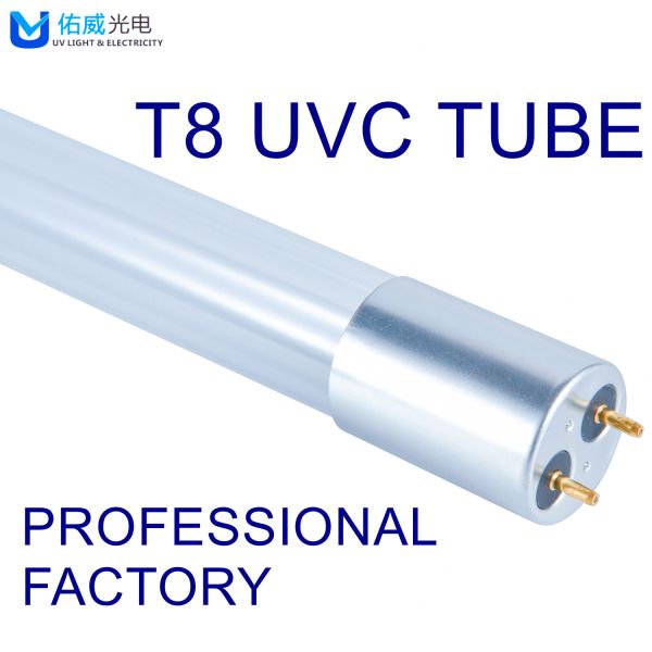 CE ROHS FCC Glass T8 UVC Disinfection Lamp 10W UV Wall Light