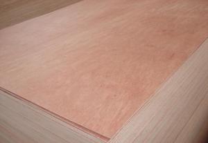 China okoume bintangor maple ,wenge walnut sapeli faced melamine paper commercial plywood furniture grade plywood on sale