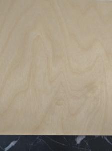 BIRCH PLYWOOD,POPLAR CORE,FACE/BACK:BIRCH,GRADE C/D,E0 GLUE,FACE AND BACK SANDED