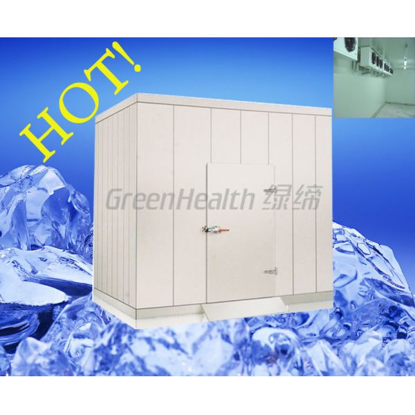 50 - 200mm Thickness Pu Sandwich Panel Cold Storage Chamber Flame Resistance