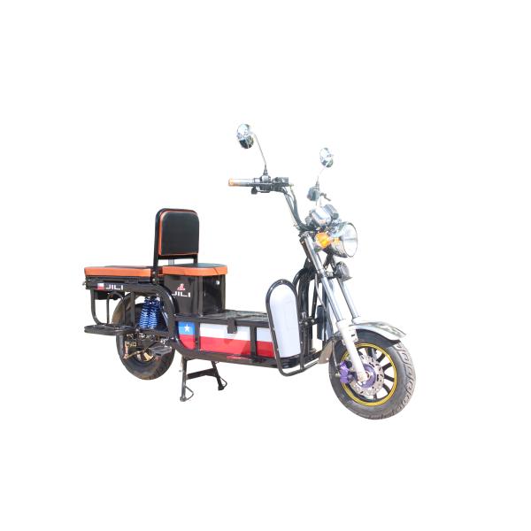 250 Kg Long Range Adult Electric Bike With Loading Steel Body , AOWA E Bike