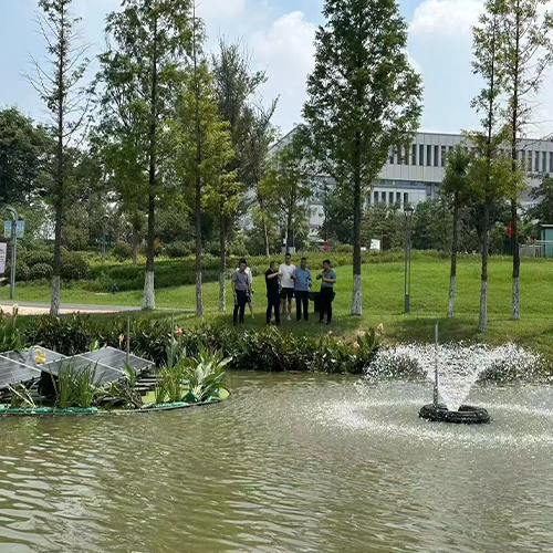 High-Efficiency Pure Solar Fountain Aerator For Lake & Pond Oxygenation​