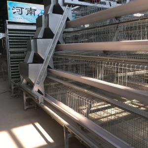 Cheap Poultry Equipment Egg Layer Chicken Cage Automatic For South Africa Farm for sale