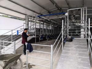 China Dairy Farm Goat Milking Machines Stainless Steel Milking System on sale