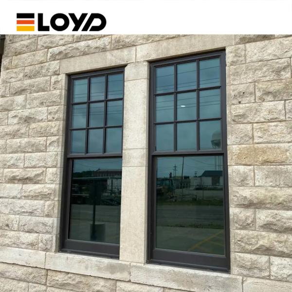 Double Single Hung Window with 5+18A+5mm Tempered Glass