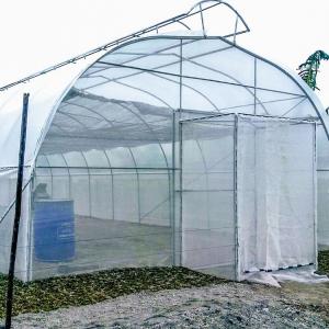 Cheap Thailand Multi Span Automatic Vent Greenhouse Electric Tropical Climate Controlled for sale