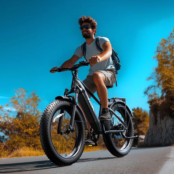 F612 F622 Fat Tire Ebike Remove Lithium Battery Pack 750W Motor 7 Speed Hydraulic Disc Brake Fat Bike