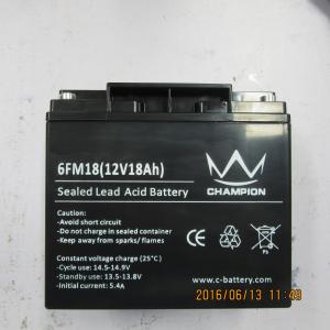 China F17 / F18 Sealed Deep Cycle Marine Battery , Black Agm Deep Cycle Battery on sale