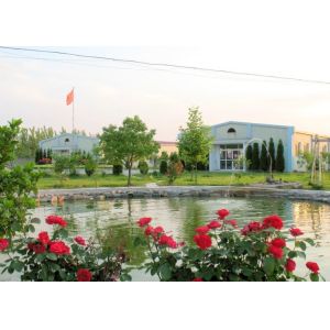WUHU DAYI SPORTS GOODS CO., LTD