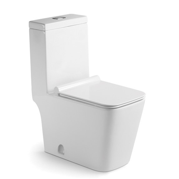 Bathroom Ceramic Siphonic Modern One Piece Toilet Cupc North America White Floor Mounted