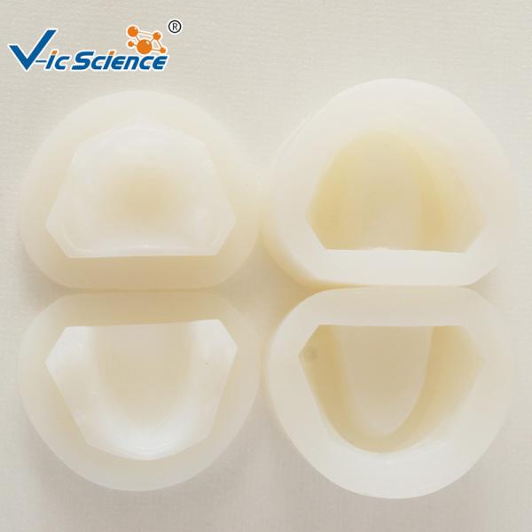 Medical  Teaching Orthodontic Study Models VIC-G8 Bite Block Rubber Mould