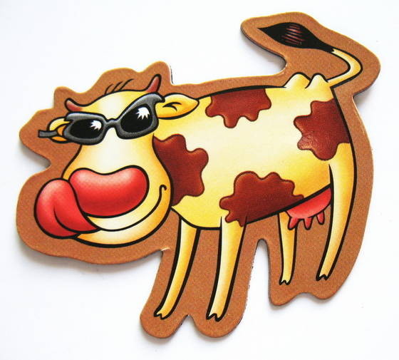 High-quality promotional fridge magnet(passed EN71)/2013 new design hot sale fridge magnet