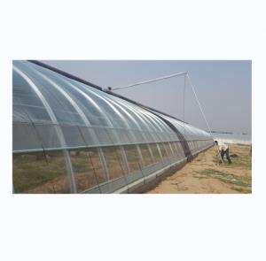 Cheap Single Layer Brick Wall Solar Greenhouses 8m-16m Width With Insulation Blanket for sale