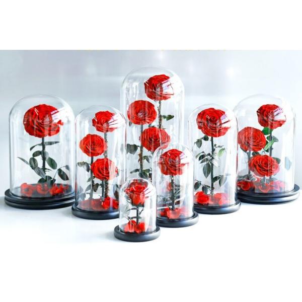 Wholesale New Design Preserved flower  Eternal Rose in Glass Home Decoration