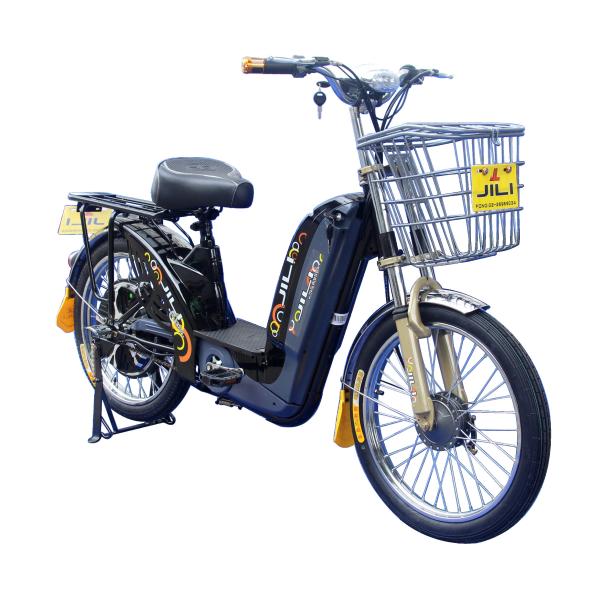 12A GEL Battery 450W Loading Adult Electric Bike 8 Hrs Charging Time