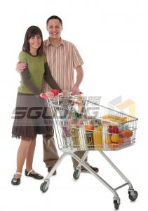 China Metal Supermarket Shopping Trolley , Grocery Shopping Trolleys Zinc Plated Surface on sale