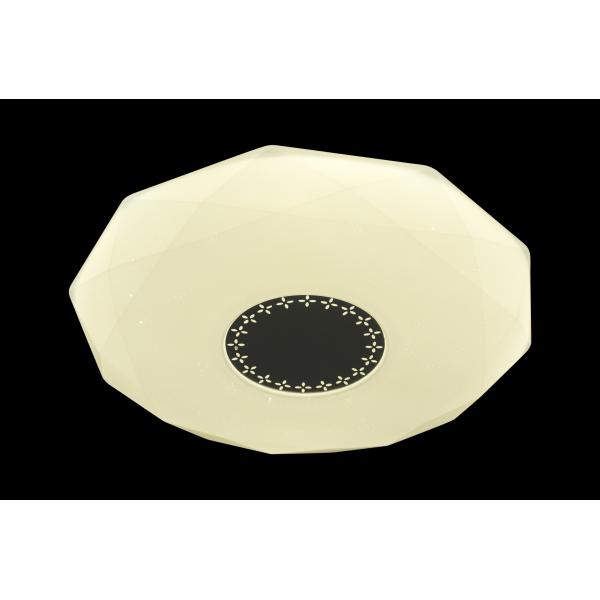 Circular LED Ceiling lamp