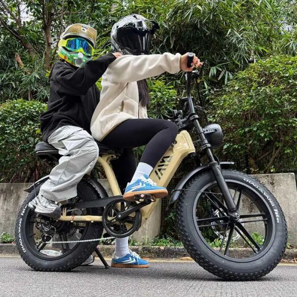 R7 Womens Fat Tire E-Bike 20 Inch | Fashion Ladies Electric Bike for City & Outdoor Use