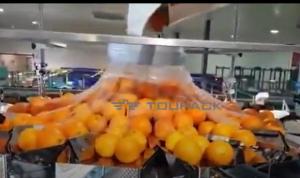 China Automatic Orange Fruit And Vegetable Packaging Machine With Net on sale