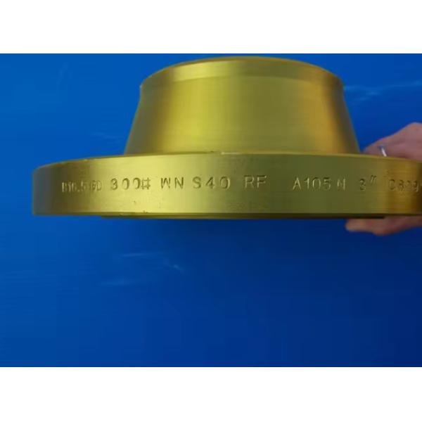 Customizable P250GH Forged Flange for High Pressure Applications