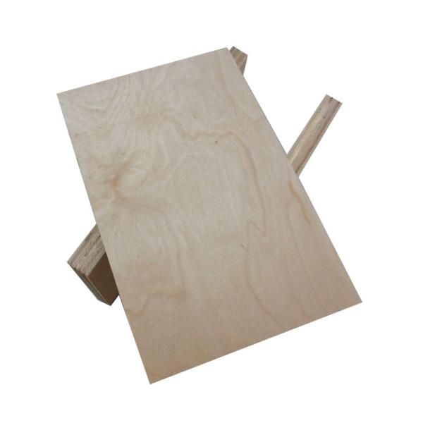 CARB 12mm 18m Birch Hardwood Plywood For Furniture