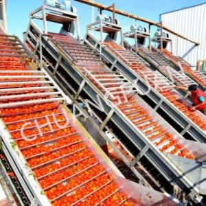 Cheap Tomato Paste Production Line Stainless Steel Tube In Tube Sterilization Type for sale