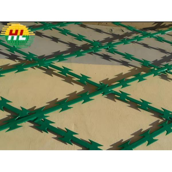PVC Multi Purpose Aesthetic Razor Barbed Wire Fence