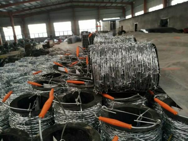 Quality 2mm * 2mm  1.6mm * 1.6mm Galvanized Barbed Wire, Hot Dip Galvanized Iron Wire Fence wholesale