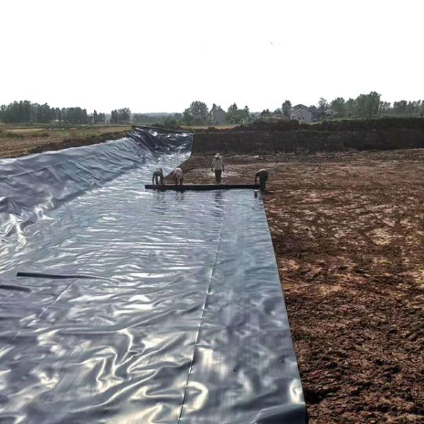 Industrial Design Style Geomembranes for 2mm Landfill Biodigester HDPE FISH POND LINER