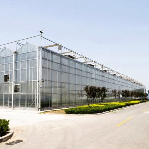 China Agricultural Hydroponic Glass Greenhouse Vertical Hydroponic System Large Glass Greenhouse on sale