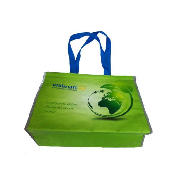 Freuni OEM Production SGS, Sedex Approved PP Non Wove cooler bag with Logo Wholesale