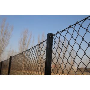 2.1mx10mx50x50mm galvanized steel chain link fence from ". Victoria "