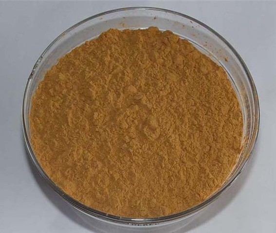 GMP Supplier 1%-2% DNJ powder from white mulberry leaf extract