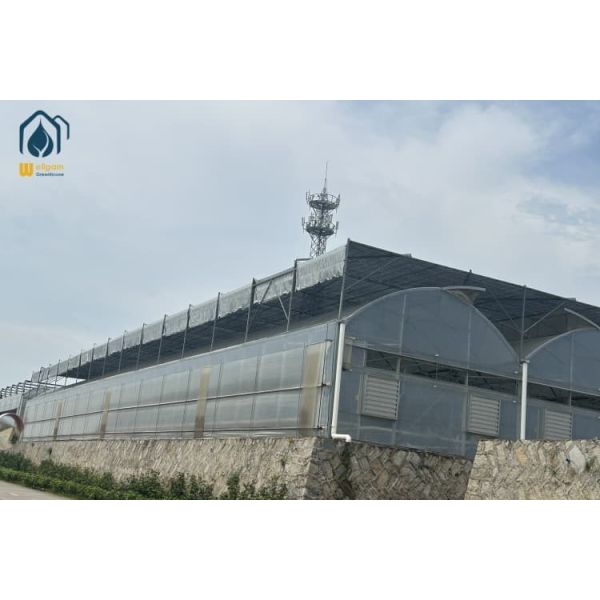 Multi Span Greenhouse Project Management Advanced Irrigation For Large Farms